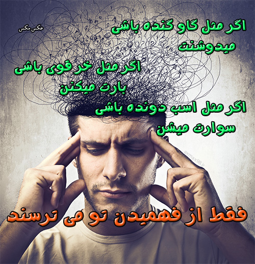 عکس نوشته شعور 1470