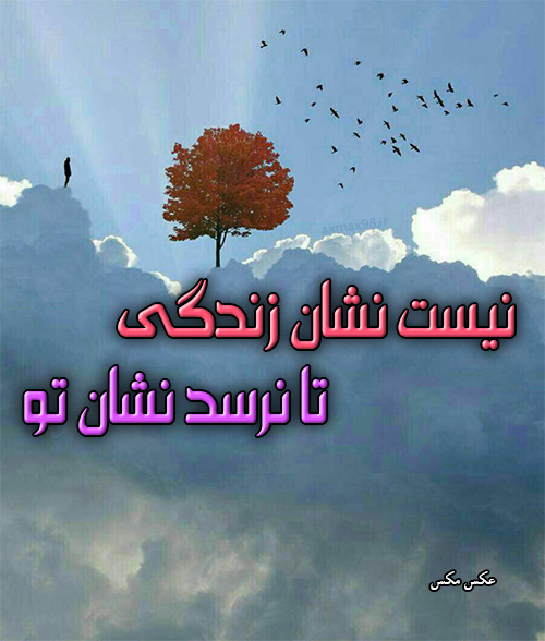 عکس نوشته نشان زندگی 1614