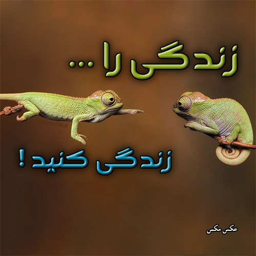 عکس نوشته زندگی 1627